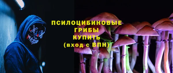гидра Алзамай
