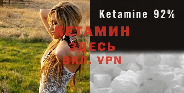 шишки Няндома