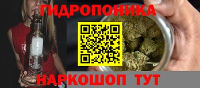 spice Рязань