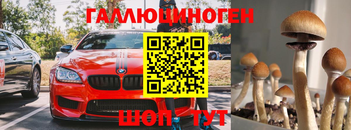 Галлюциногенные грибы мицелий Солнечногорск