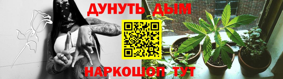 Солнечногорск  Конопля Bruce Banner  Марихуана ГИДРОПОН  Канабис White Widow  Вход с VPN 